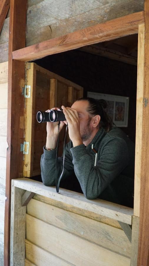 Creo Ecolodge חרדין מראה חיצוני תמונה
