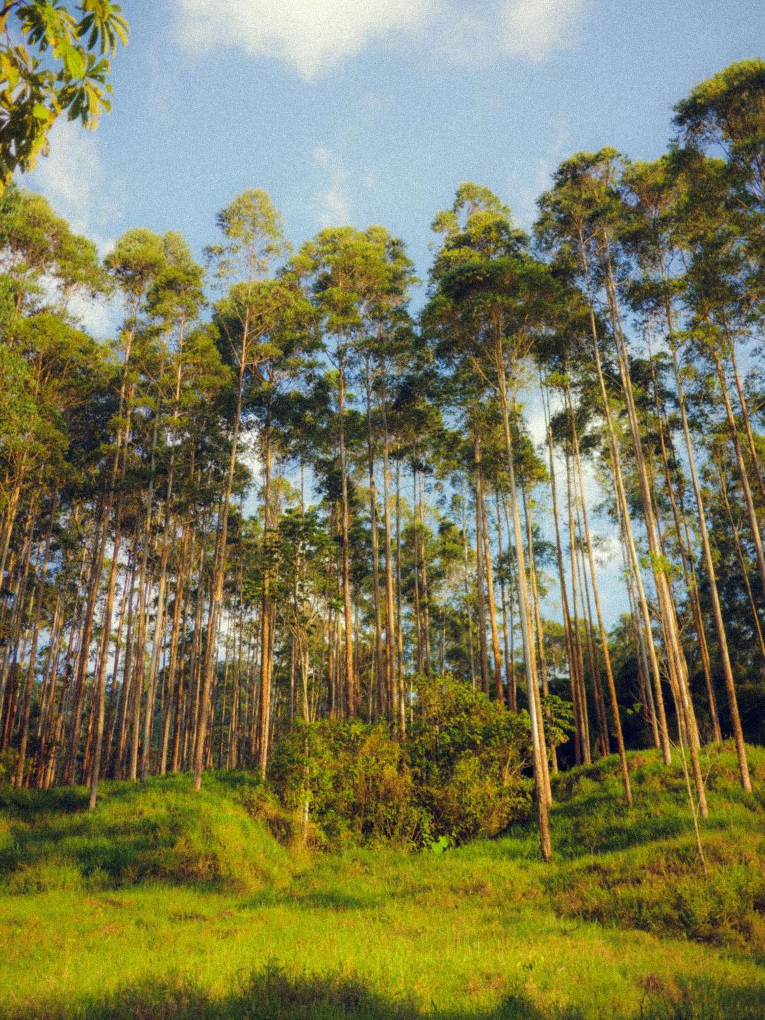 Creo Ecolodge חרדין מראה חיצוני תמונה
